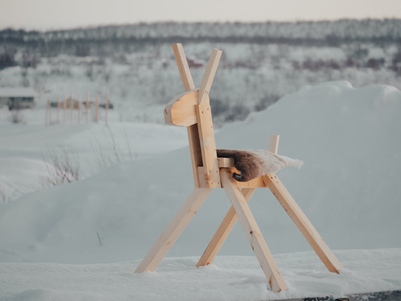 Last inn bildet i gallerivisningen, Arctic Minilavvo med trerein - pakketilbud
